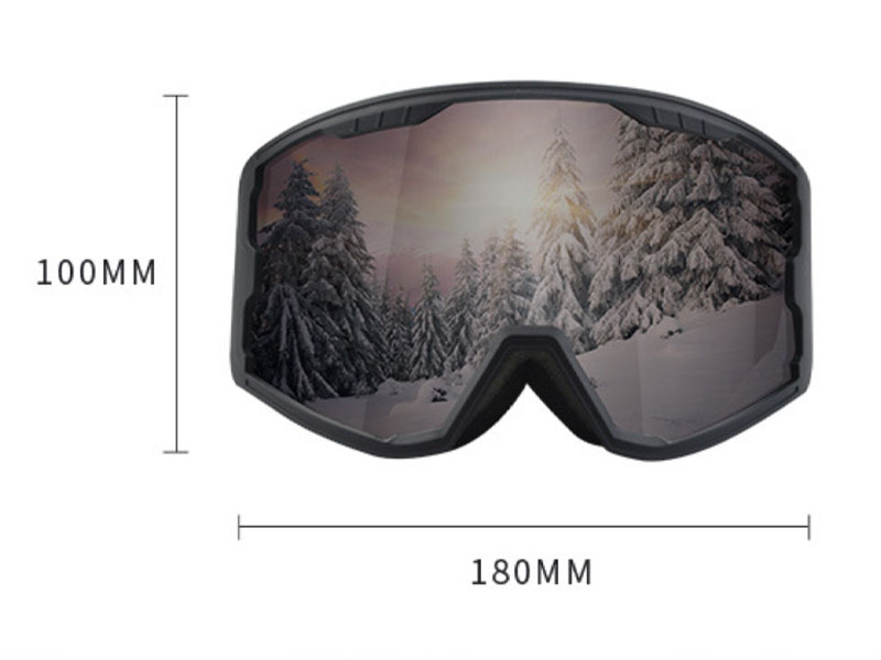 Womens Snow Goggles